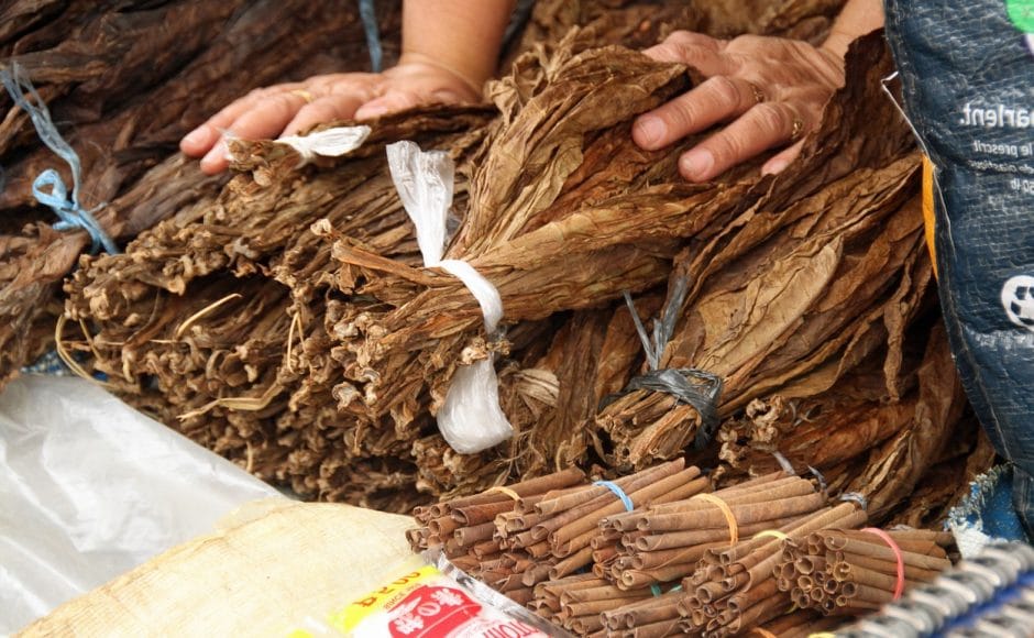 Le tabac a chiquer : dossier santé