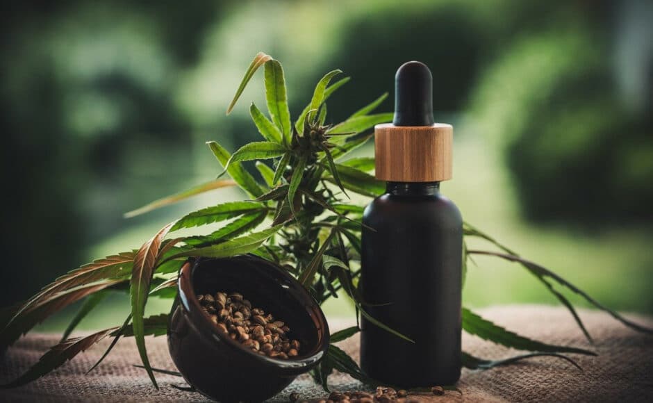 CBD : l’allié bien-être du quotidien !